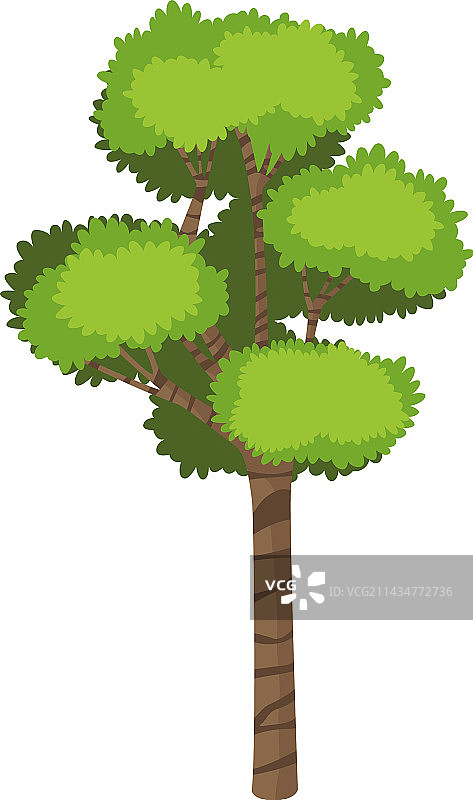 树木森林图片素材