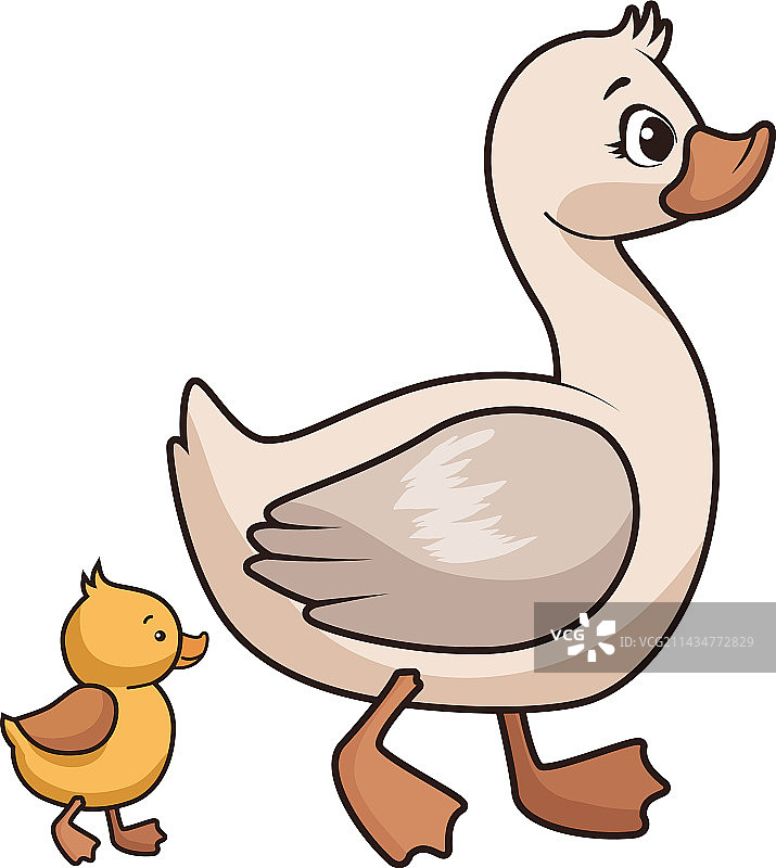 可爱的鸭妈妈和小鸭图片素材