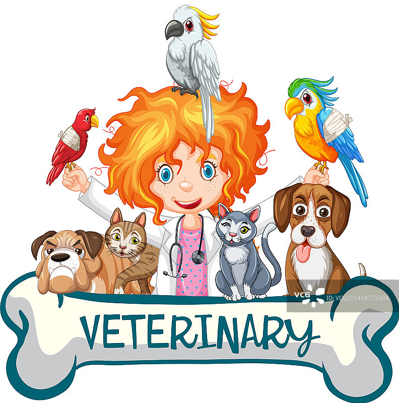 友好的兽医与宠物图片素材