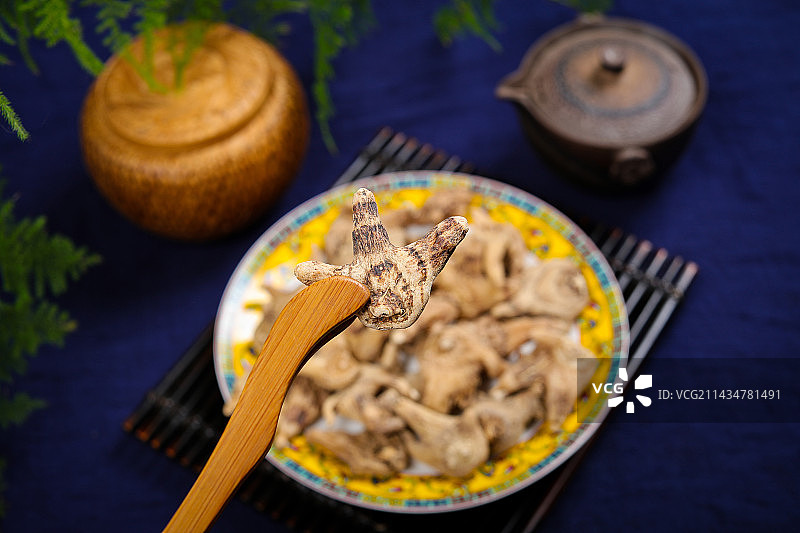 药用植物中医中草药材白芨图片素材