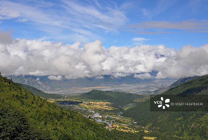 鲁朗林海图片素材