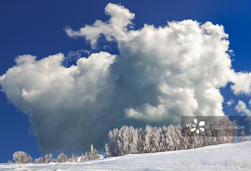 《雪后天晴》图片素材