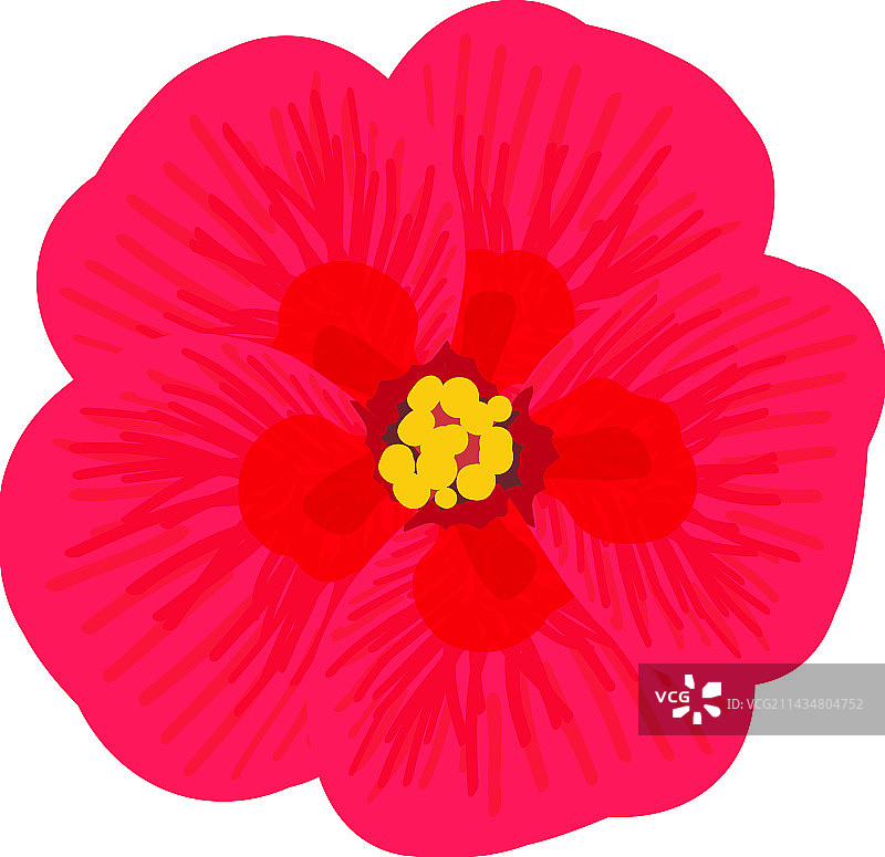 鲜红色芙蓉花2.5D图标图片素材