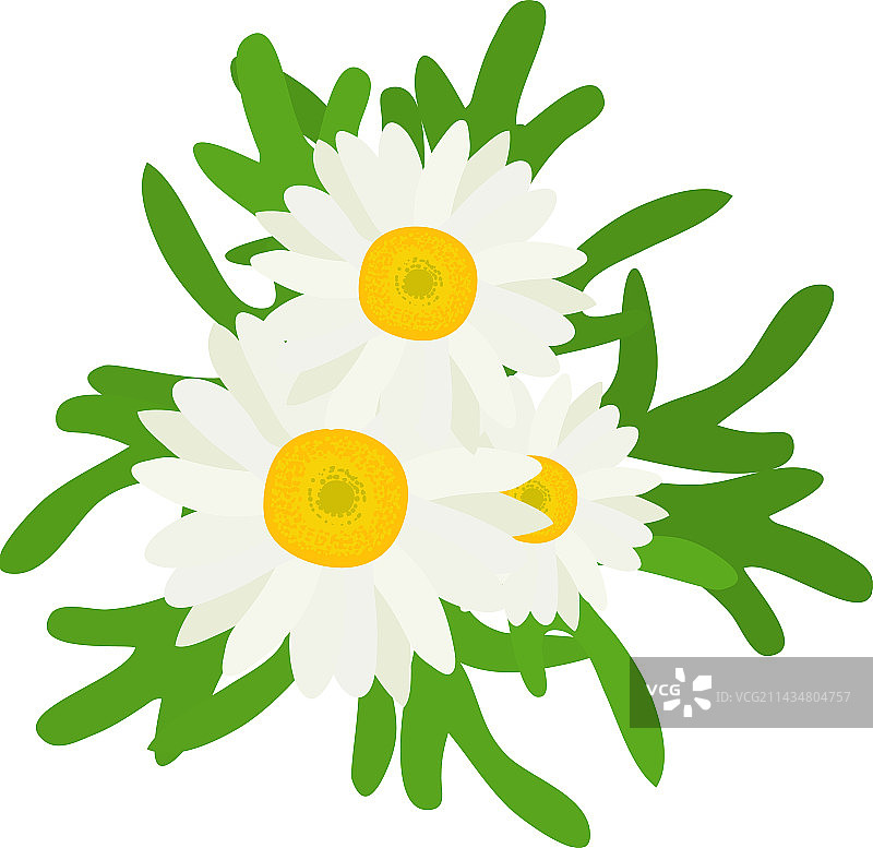 2.5D明亮洋甘菊花朵图标图片素材