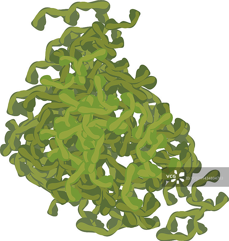 干海带等距图标图片素材