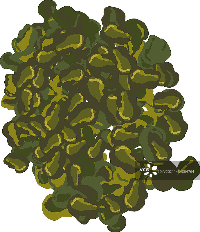 海藻类等距图标图片素材