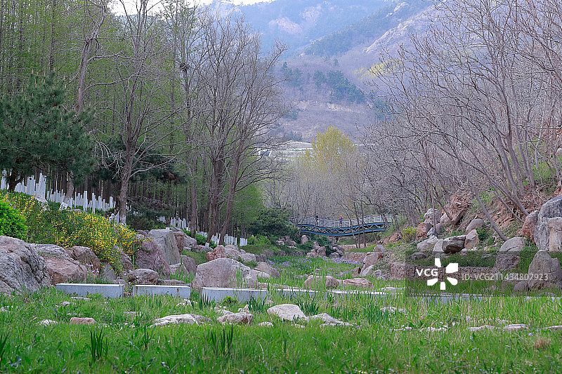 青岛世博园春天的山谷图片素材