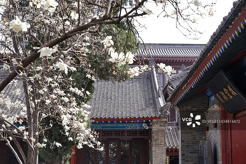 西安万寿八仙宫（八仙庵）图片素材