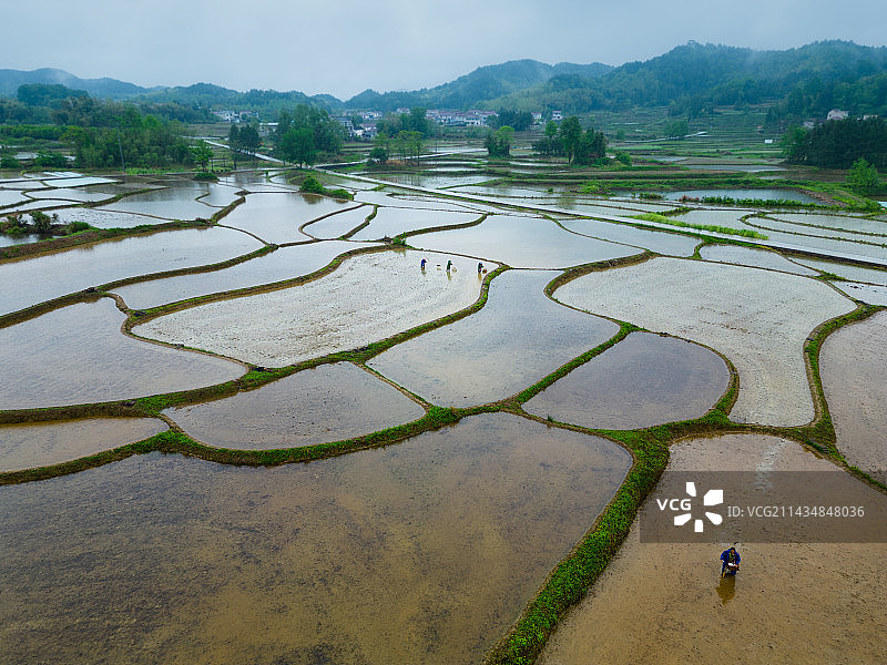 旌德春耕图图片素材
