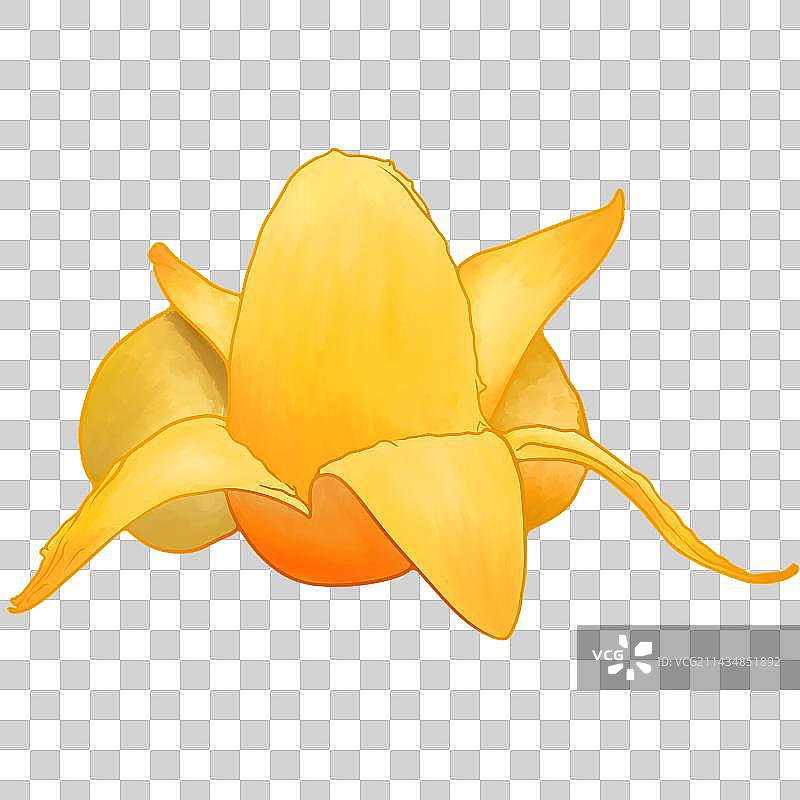 芒果图片素材