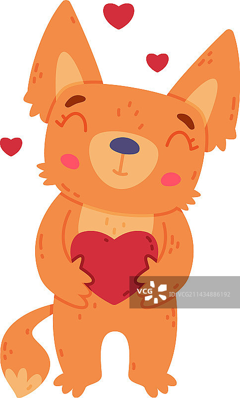 可爱的小耳廓狐，穿着红色外套，长着大耳朵图片素材