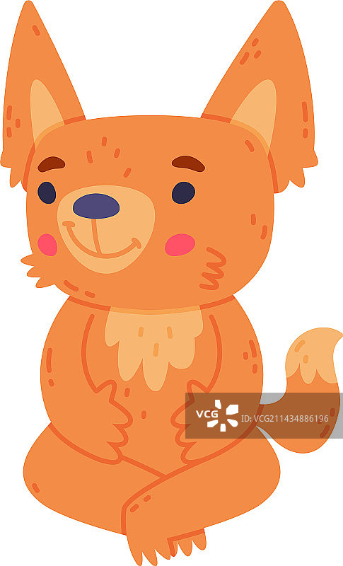 可爱的小耳廓狐，穿着红色外套，长着大耳朵图片素材