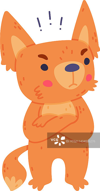 可爱的小耳廓狐，穿着红色外套，长着大耳朵图片素材