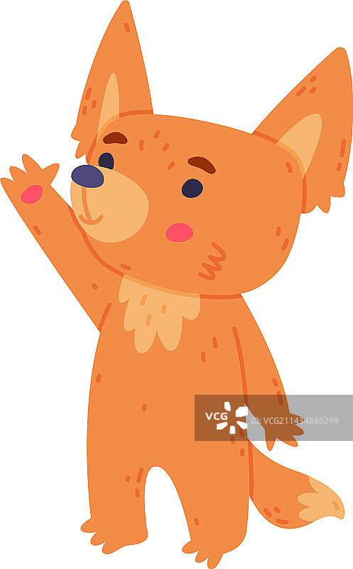 可爱的小耳廓狐，穿着红色外套，长着大耳朵图片素材