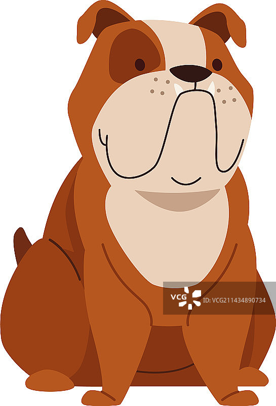 斗牛犬吉祥物图片素材