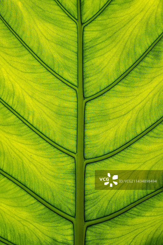 DSC_1805图片素材