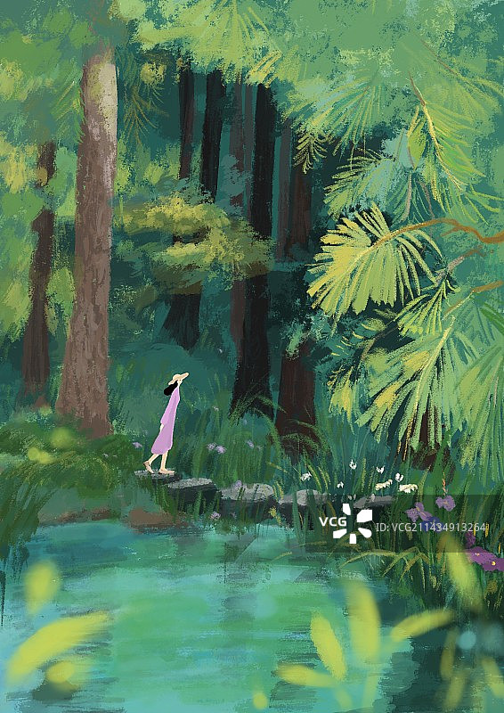 山林里的夏天图片素材