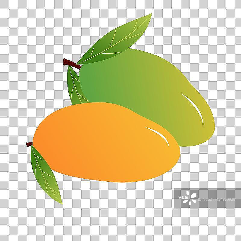 夏季热带气候酸甜可口的芒果图片素材