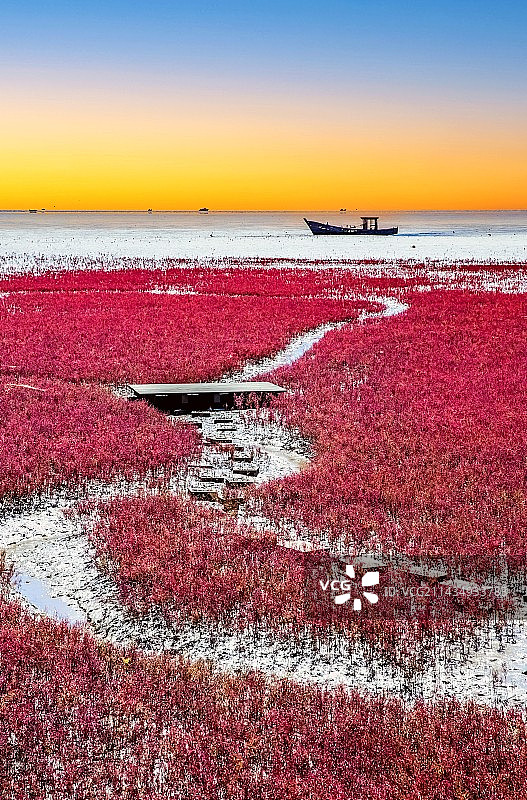 《红海滩》图片素材