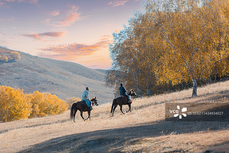 内蒙古赤峰市乌兰布统坝上草原牧场户外风光图片素材