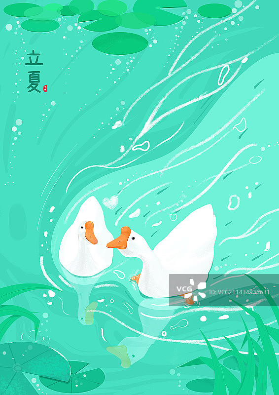 二十四节气｜立夏｜鹅鹅鹅图片素材