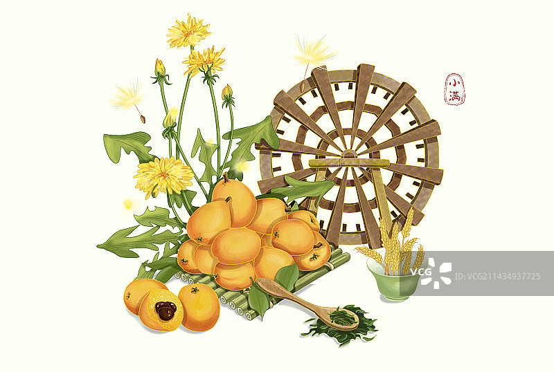 小满节气古风插画图片素材