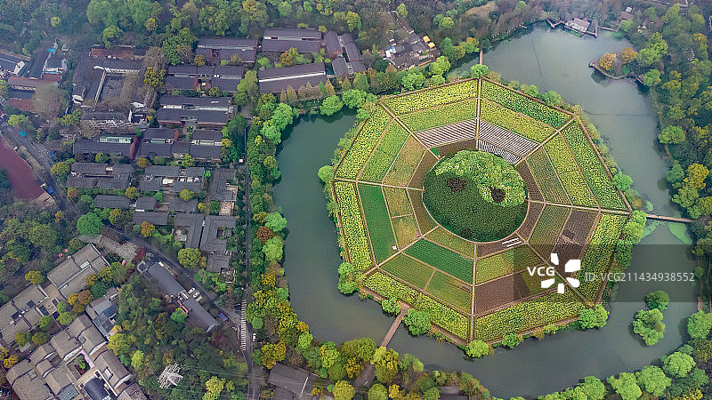 航拍视角下的八卦田图片素材