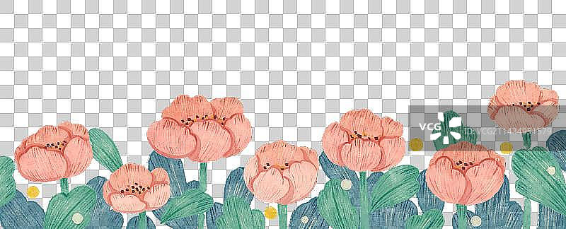 手绘植物花卉边框图片素材