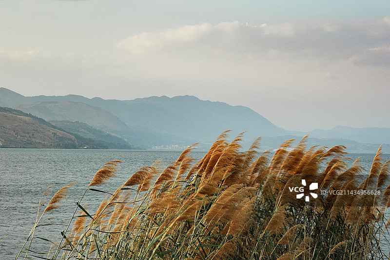 初春的阳宗海图片素材