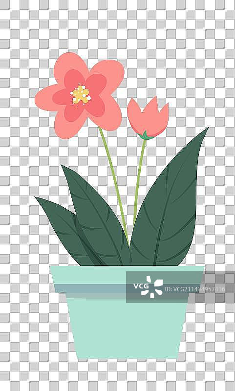 扁平化手绘鲜花植物插画设计图片素材