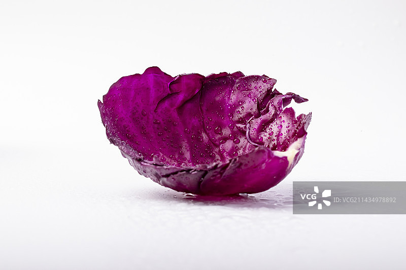 紫甘蓝图片素材