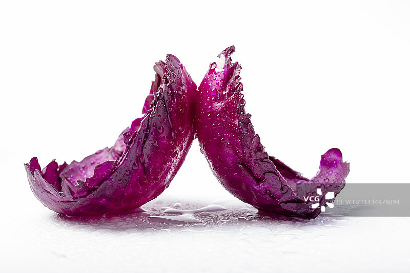 紫甘蓝图片素材