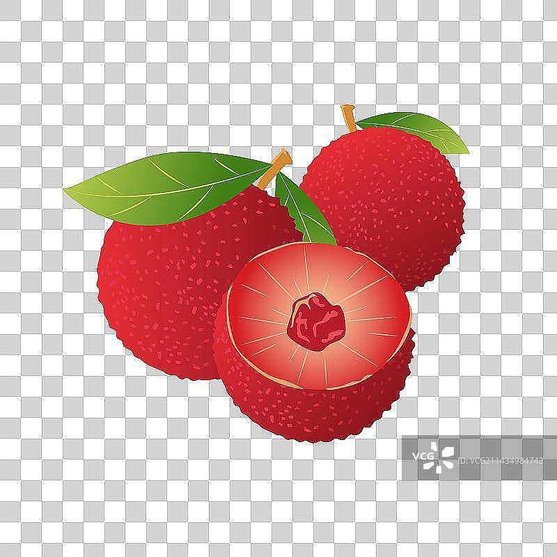 新鲜灌木植物维生素成熟的红色带核果肉杨梅图片素材