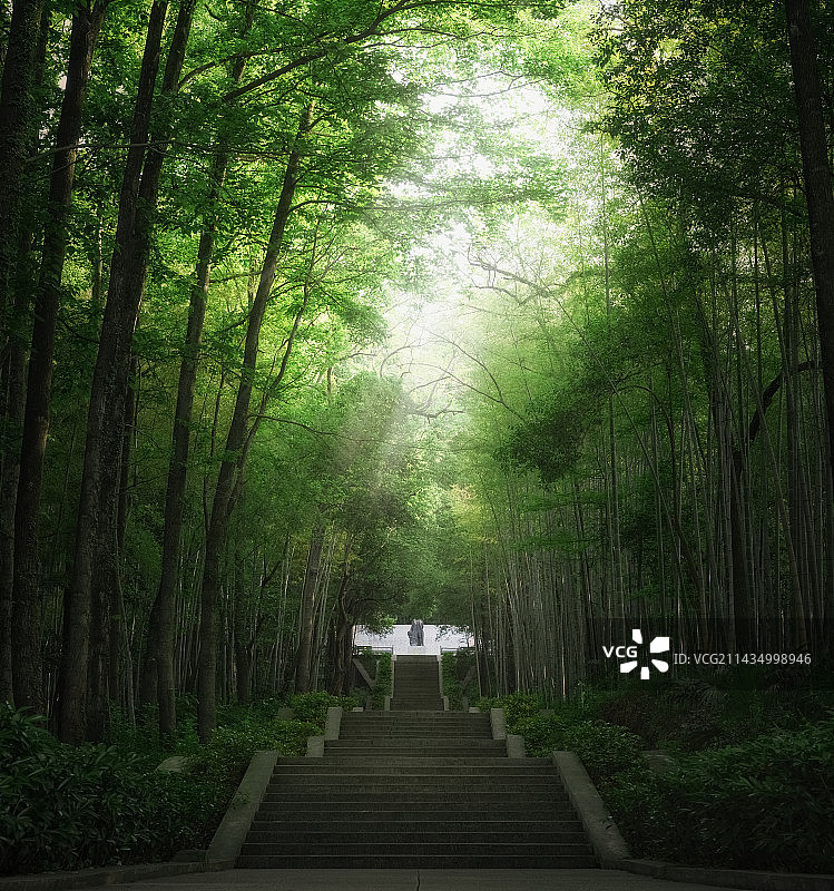 林间寻梦图片素材