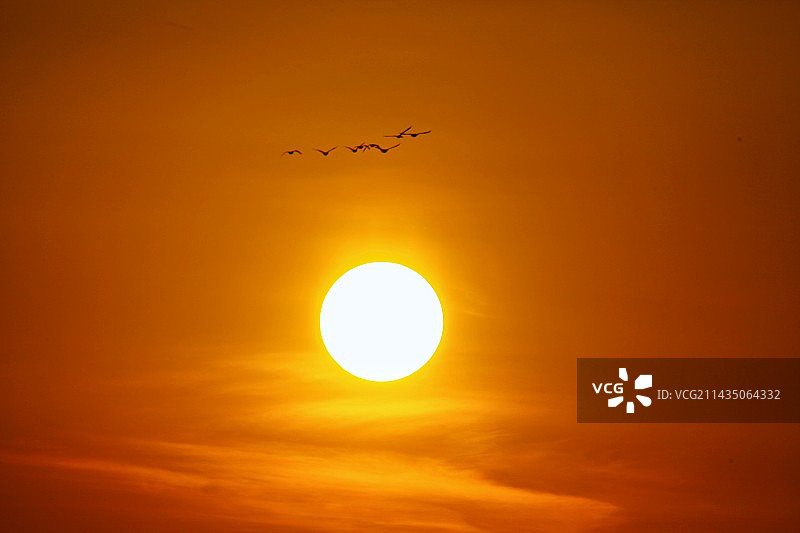 夕阳美图片素材