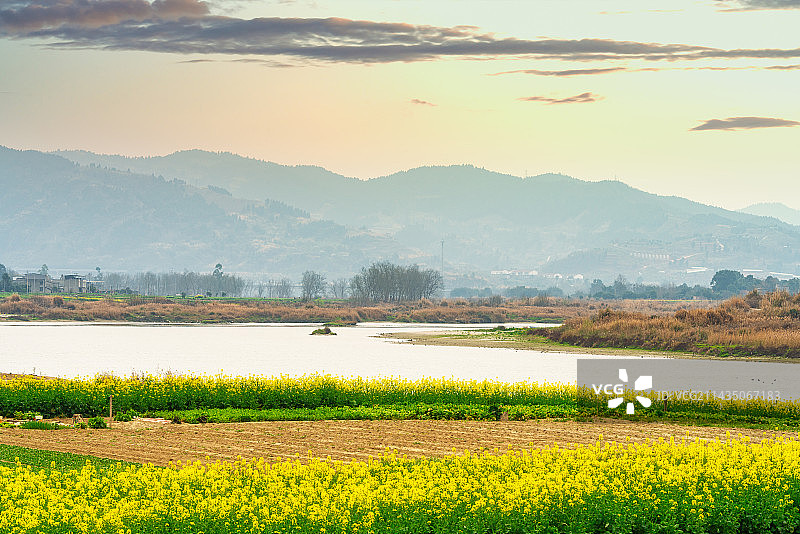 中国成都龙泉山下沱江边的油菜花田落日风光图片素材