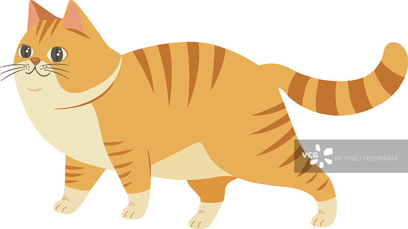 可爱的小猫走路图片素材