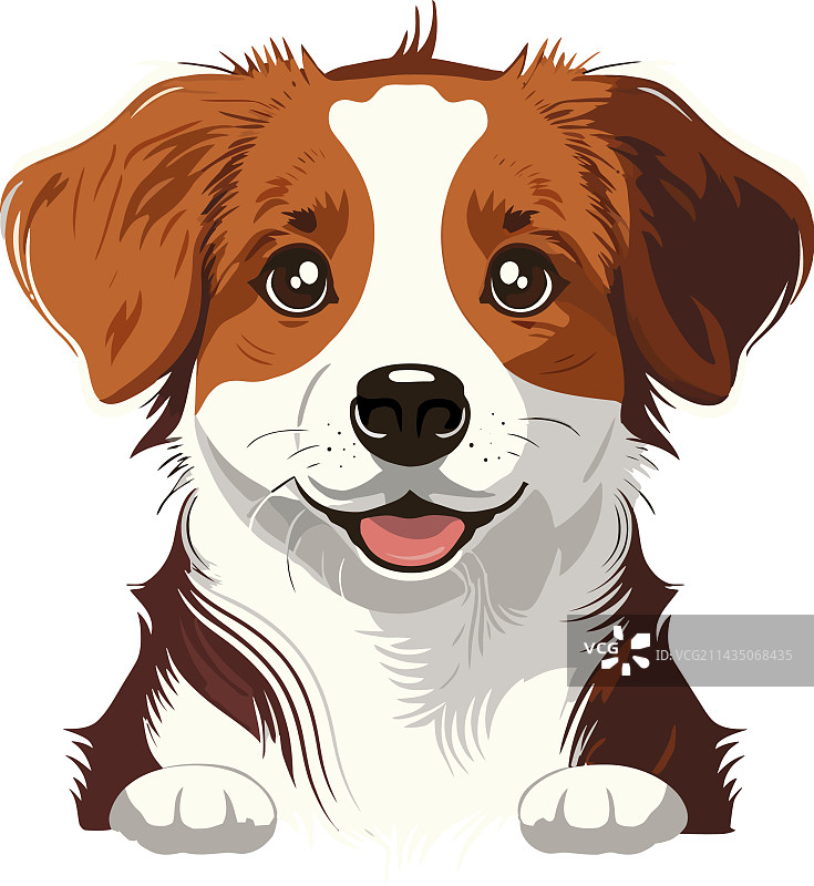 可爱的小猎犬笑着观看图片素材
