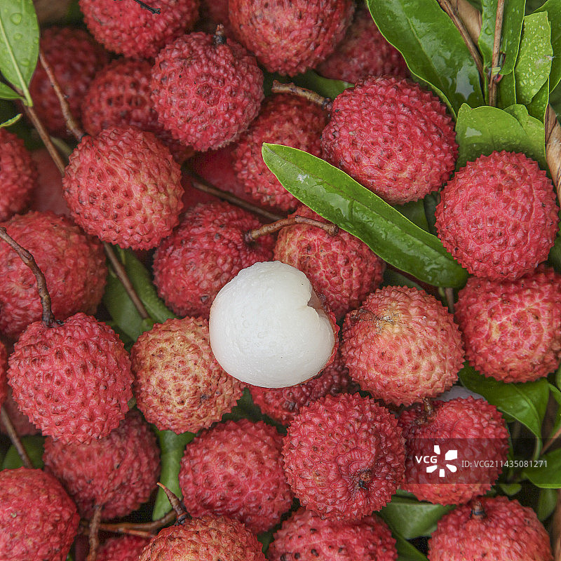 草地上放着桂味荔枝图片素材