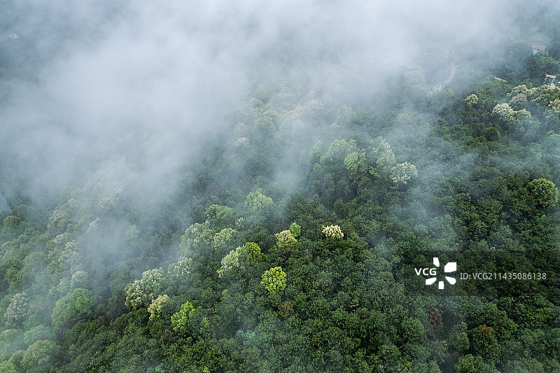 重庆虎峰山森林公园图片素材