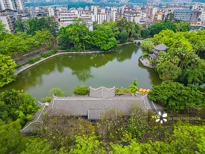 柳州城中区航拍柳侯公园图片素材