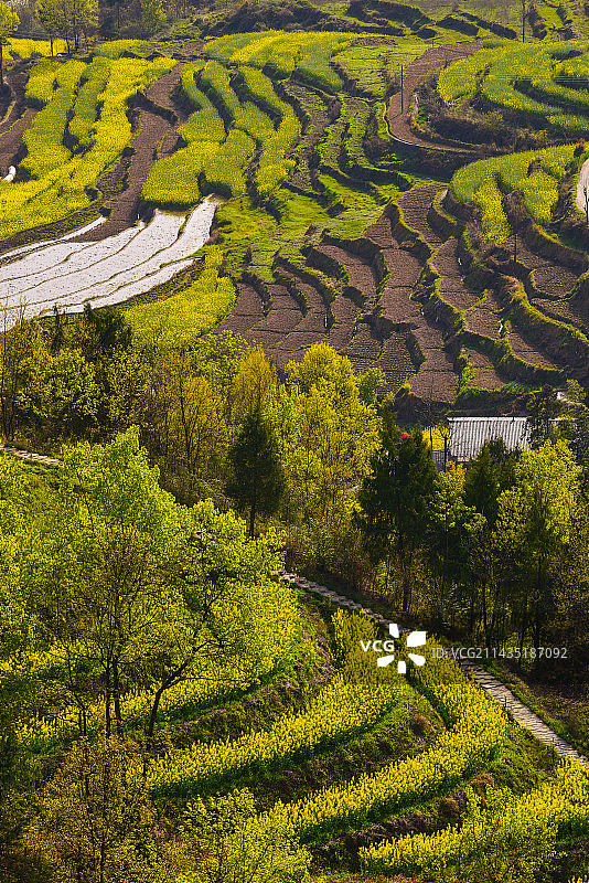 凤堰古梯田·天梯图片素材
