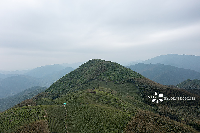 航拍杭州径山寺茶园风光图片素材