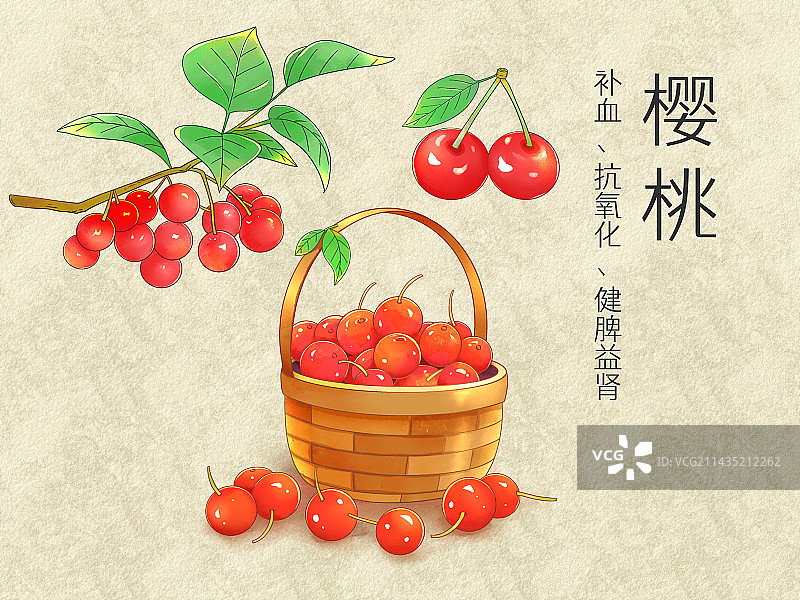 手绘水彩水果樱桃插画图片素材