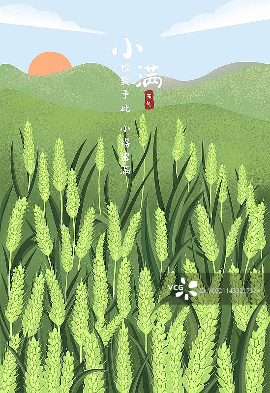 二十四节气夏季小满图片素材