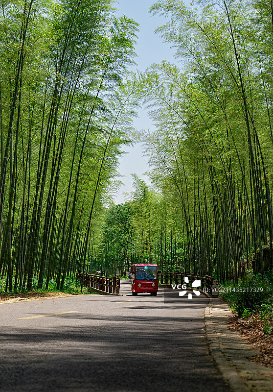 宜兴竹海风景区风光图片素材