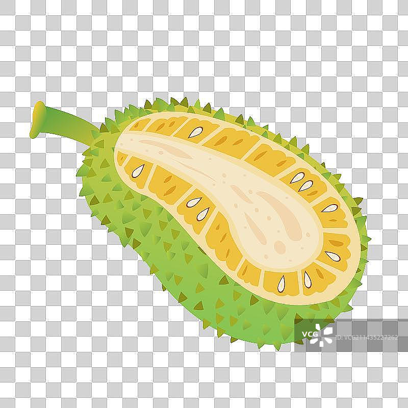 春夏季热带气候果肉饱满的菠萝蜜树菠萝水果图片素材