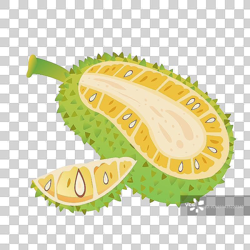 春夏季热带气候果肉饱满的菠萝蜜树菠萝水果图片素材