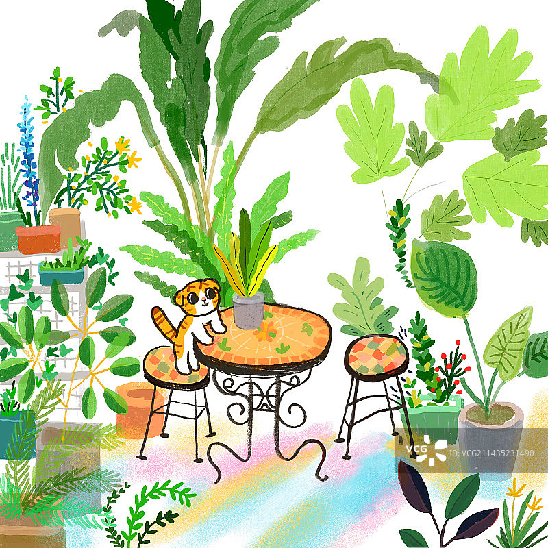 有植物的房间图片素材