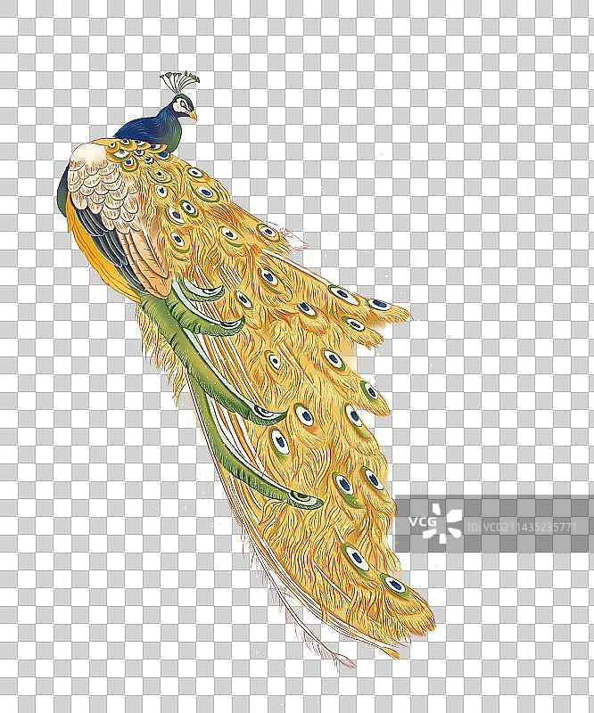 金色孔雀国潮插画图片素材